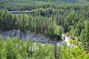 Goat Lick Overlook